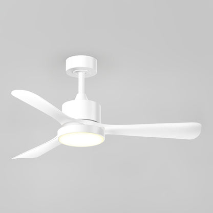 Adney 42" LED Ceiling Fan