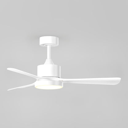 Adney 42" LED Ceiling Fan