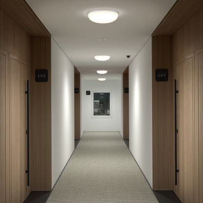 A modern hotel hallway features wooden doors (rooms 105 and 107), white walls, carpet, a cityscape photo at the end, and bright Knox LED 13In Energy Star Flush Mount ceiling lights.