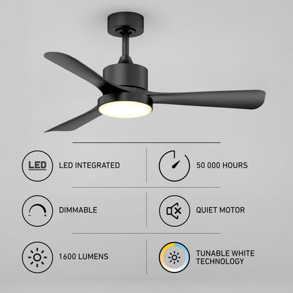 Adney 42" LED Ceiling Fan
