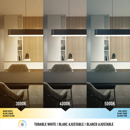 A modern office space illuminated by the Willow LED Pendant in three color temperatures: 3000K warm white (left), 4000K neutral white (center), and 5000K cool white (right), showcasing how each light affects room ambiance.