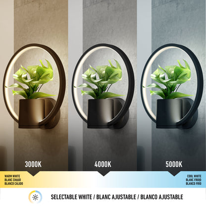 Three identical Halo Planter LED wall sconces, each holding a green plant, are shown with circular lights in warm white (3000K), neutral white (4000K), and cool white (5000K) color temperatures.