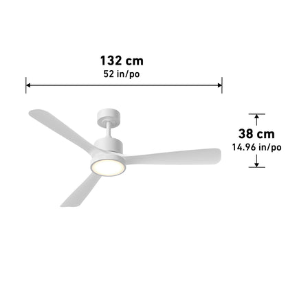 Adney 52 po ventilateur de plafond à DEL