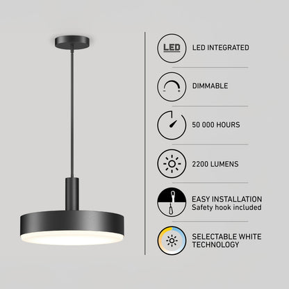 Fritz PRO 21 po suspension à DEL 5CCT