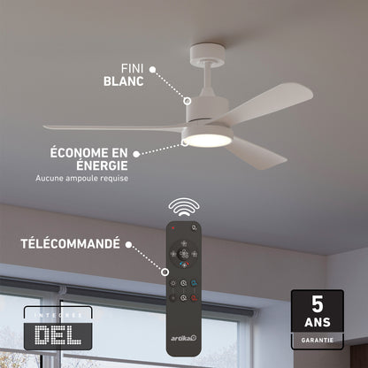 Adney 52 po ventilateur de plafond à DEL
