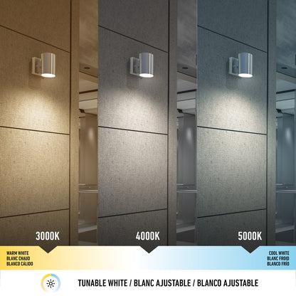 The Walton Indoor/Outdoor LED Wall Light brightens hallways in three color temps—warm white (3000K), neutral white (4000K), and cool white (5000K)—with a scale and labels in English, French, and Spanish to show lighting choices.
