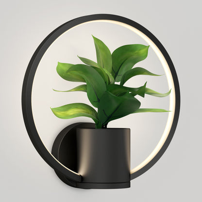 The Halo Planter LED wall sconce features a circular LED ring with a small potted green plant in a matte black holder, mounted on a plain white wall for a modern look.