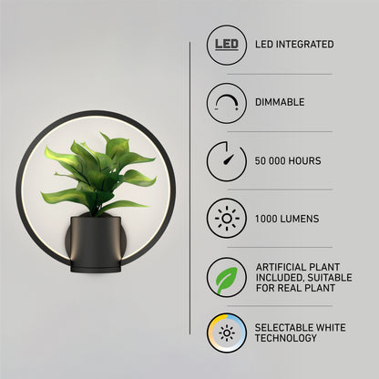 The Halo Planter LED wall sconce features a modern circular design with a green artificial plant, selectable white LED technology, dimmable 1000-lumen light, 50,000-hour lifespan, and is ideal for adding greenery to your space.