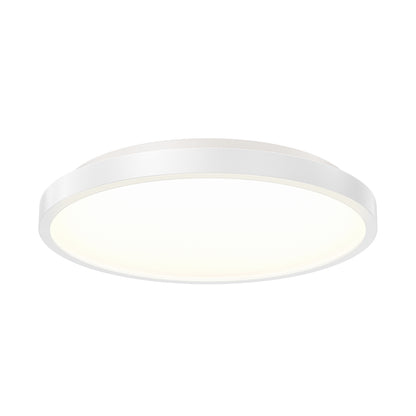 Rayker PRO 12" LED Flush Mount with Interchangeable Trim