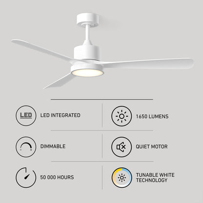 Adney 52 po ventilateur de plafond à DEL