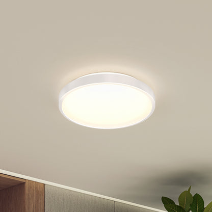 Rayker PRO 12" LED Flush Mount with Interchangeable Trim