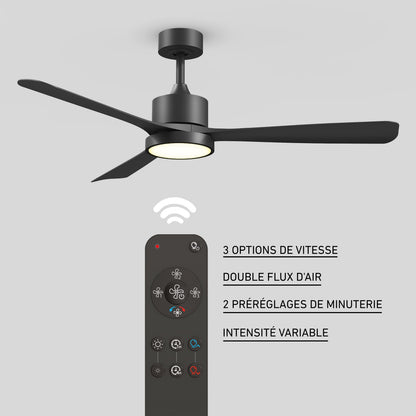 Adney 52 po ventilateur de plafond à DEL