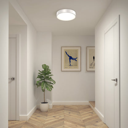 A hallway with light walls and wood herringbone floors features a green potted plant, framed artwork, visible doors, a small staircase, and the Concerto LED Flush Mount ceiling light.