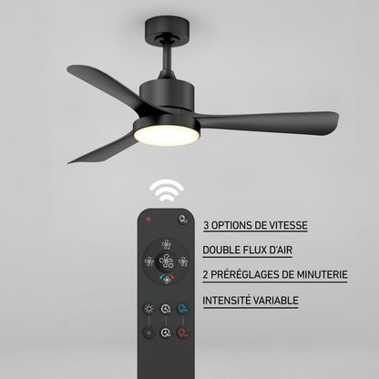 Adney 42" LED Ceiling Fan