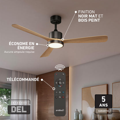 Adney 52 po ventilateur de plafond à DEL