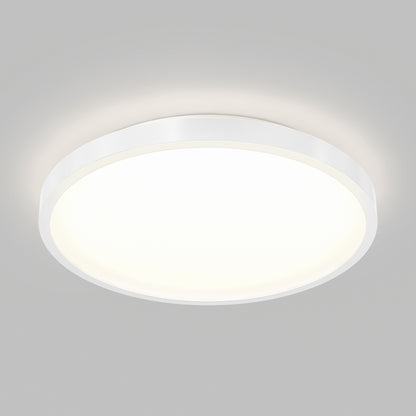 Rayker PRO 12" LED Flush Mount with Interchangeable Trim