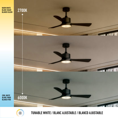 Adney 42" LED Ceiling Fan