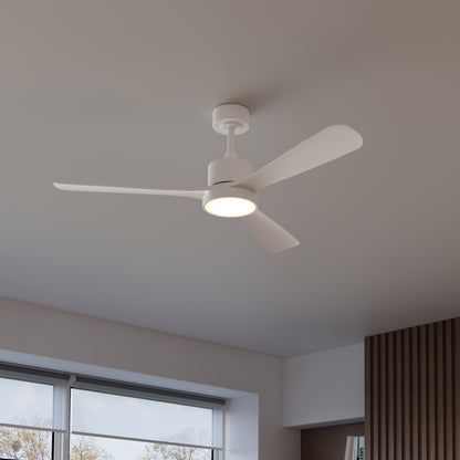 Adney 52 po ventilateur de plafond à DEL