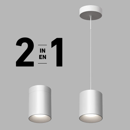 A graphic displays the Beam Pro 6 Integrated LED 2-IN-1 Ceiling Mount Pendant in flush mount and hanging pendant styles, with bold "2 IN 1" text on a light gray background.