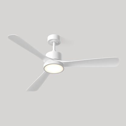 Adney 52 po ventilateur de plafond à DEL