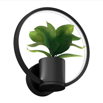 The Halo Planter LED wall sconce is a modern black fixture with a circular frame and a central potted plant, combining minimalist lighting and decorative greenery.