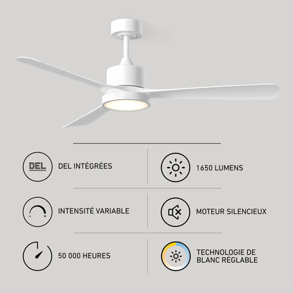 Adney 52 po ventilateur de plafond à DEL