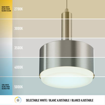 The Fritz Mini LED Pendant is a modern, dimmable light with tunable color temperature from warm white (2700K) to cool white (5000K), shown in the image with labeled horizontal sections for each temperature.
