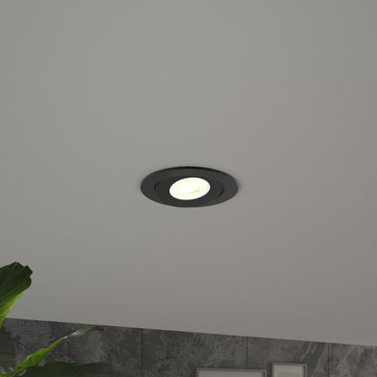 The Skyview 4in Gimbal Round, 5CCT LED with a black trim is lit on a white ceiling. A green plant and framed pictures against a dark, textured wall appear at the bottom of the image.