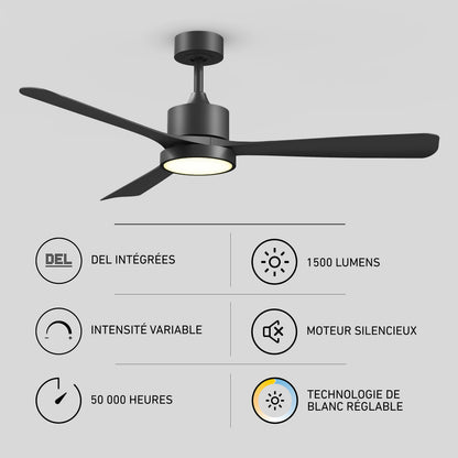 Adney 52 po ventilateur de plafond à DEL