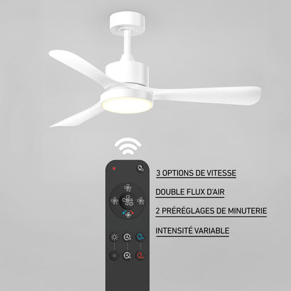 Adney 42" LED Ceiling Fan