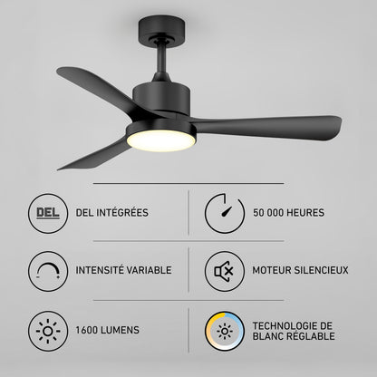 Adney 42" LED Ceiling Fan