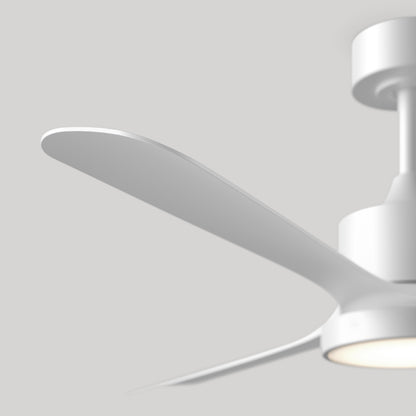 Adney 52 po ventilateur de plafond à DEL