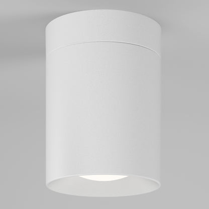 The Beam Pro 8 Integrated LED 2-IN-1 Ceiling Mount Pendant is a white cylinder light fixture.