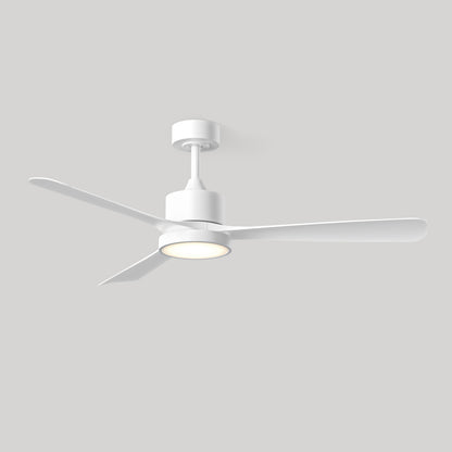 Adney 52 po ventilateur de plafond à DEL