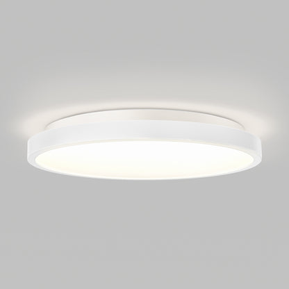 Rayker PRO 12" LED Flush Mount with Interchangeable Trim