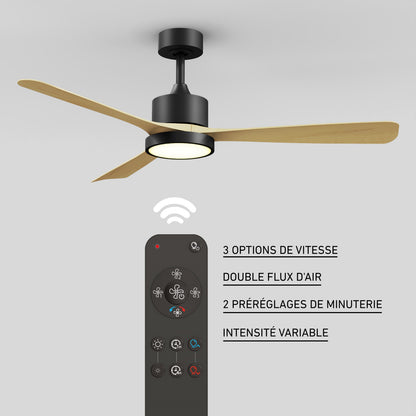 Adney 52 po ventilateur de plafond à DEL