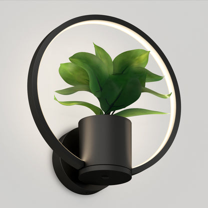 The Halo Planter LED wall sconce features a circular LED light ring framing a small potted green plant in a black holder, mounted on a plain light-colored wall.