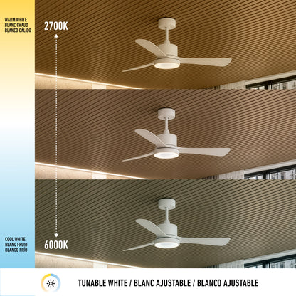 Adney 42" LED Ceiling Fan