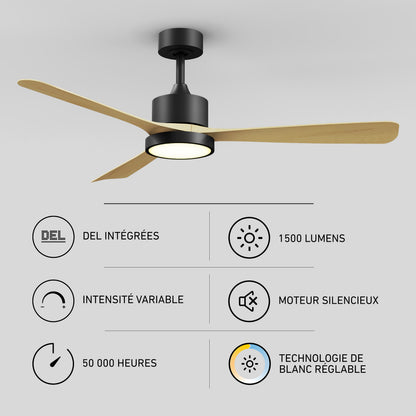 Adney 52 po ventilateur de plafond à DEL
