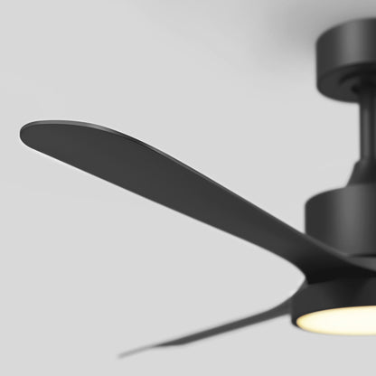 Adney 52 po ventilateur de plafond à DEL